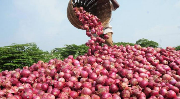 সপ্তাহের ব্যবধানে কিছুটা দাম কমেছে পেঁয়াজের